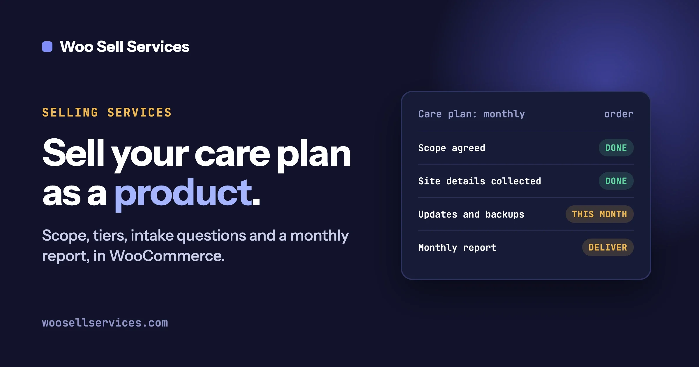 Sell your care plan as a product: a monthly care plan order with scope, site details, updates and a monthly report