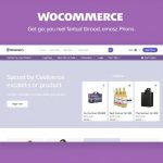 WooCommerce Extensions and Addons