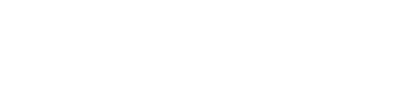 Woo Sell Services