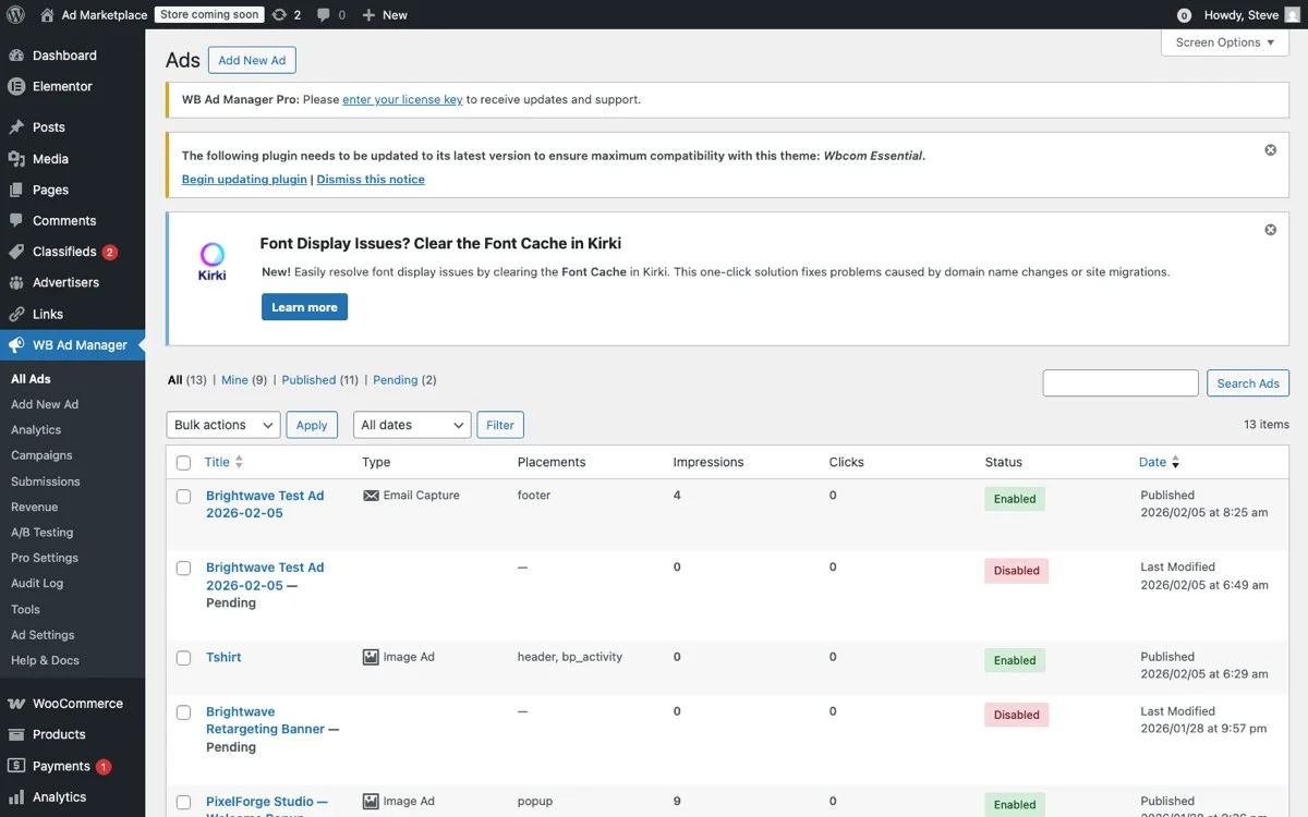 Admin panel showing all ads with types, placements, impressions, and status tracking
